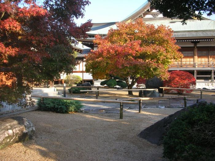 紅葉の木と竹の柵、砂利で整えられたお寺の庭