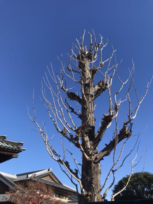 寺社の庭の施工事例