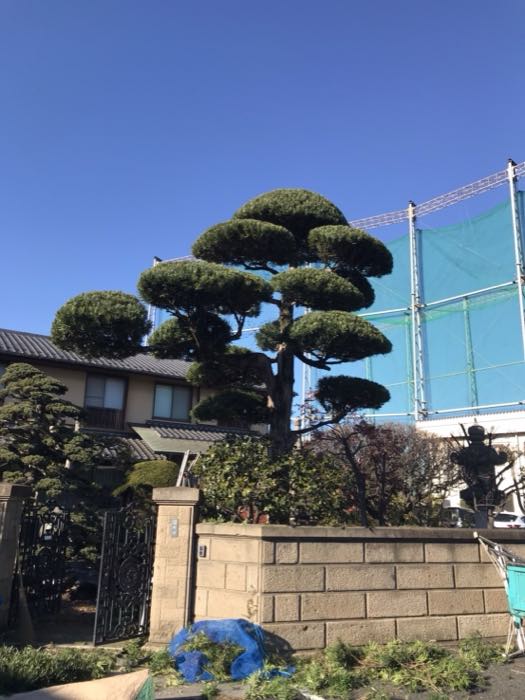 個人のお宅のお庭の施工事例